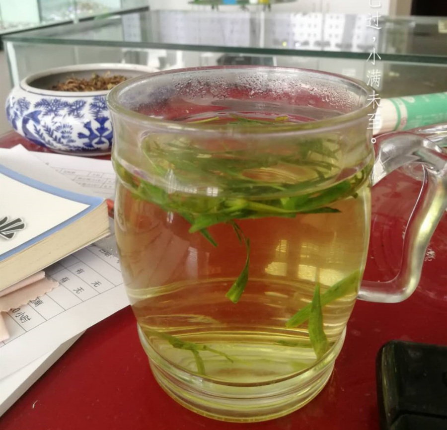 没想到,竹叶茶也挺不错的