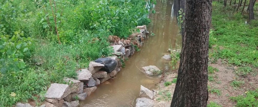 关于雨的记忆